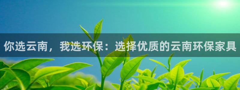 沐鸣平台还在吗：你选云南，我选环保：选择优质的云南环保家具
