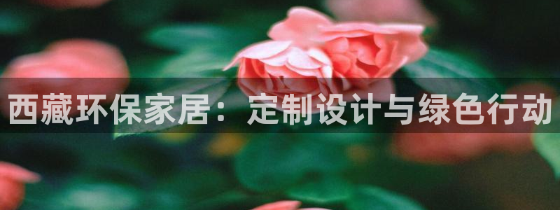 沐鸣注册平台官网：西藏环保家居：定制设计与绿色行动