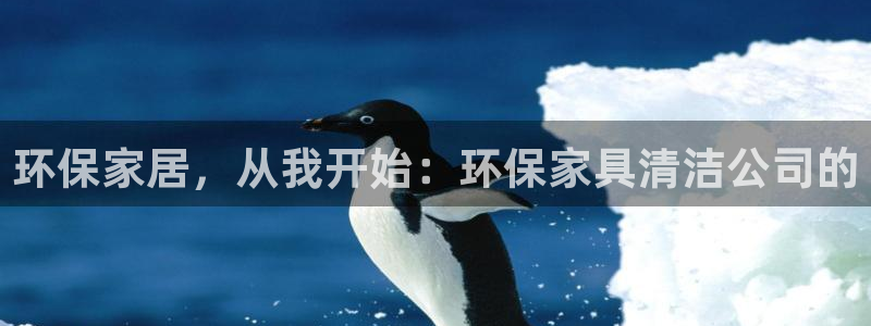 沐鸣平台测速登陆：环保家居，从我开始：环保家具清洁公司的