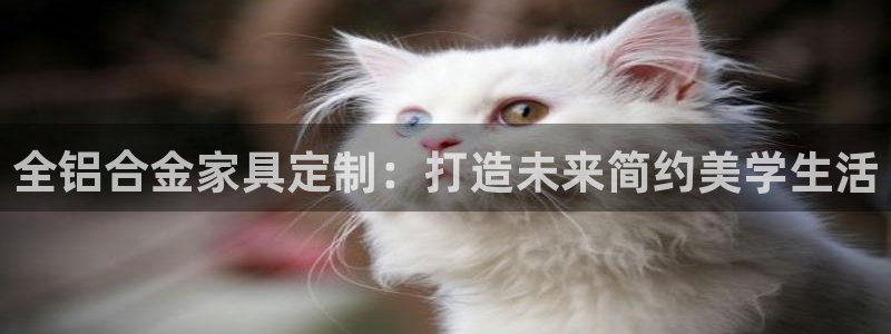 沐鸣平台怎么样：全铝合金家具定制：打造未来简约美学生活