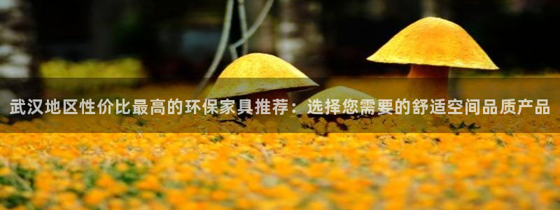 沐鸣手机客户端：武汉地区性价比最高的环保家具推荐：选择您需要