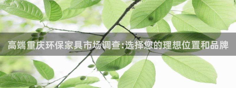 沐鸣平台几年了