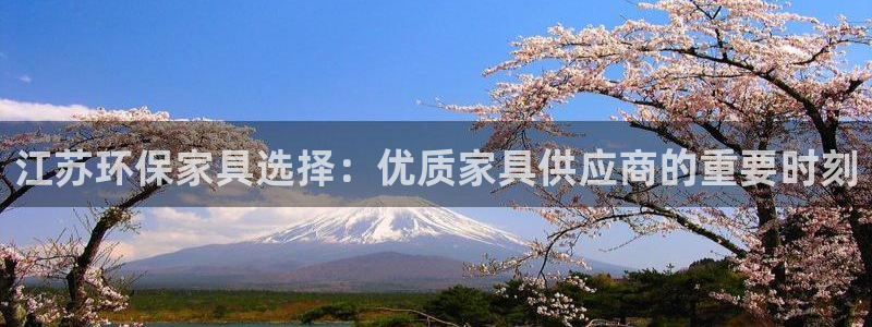 沐鸣测速娱乐：江苏环保家具选择：优质家具供应商的重要时刻