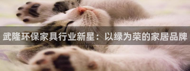沐鸣测速登录地址：武隆环保家具行业新星：以绿为荣的家居品牌