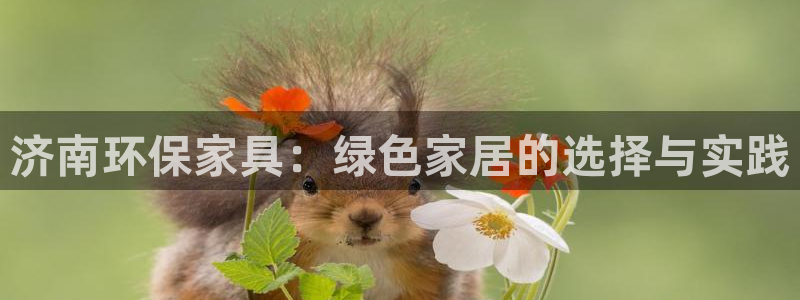 沐鸣手机登录线路测速：济南环保家具：绿色家居的选择与实践