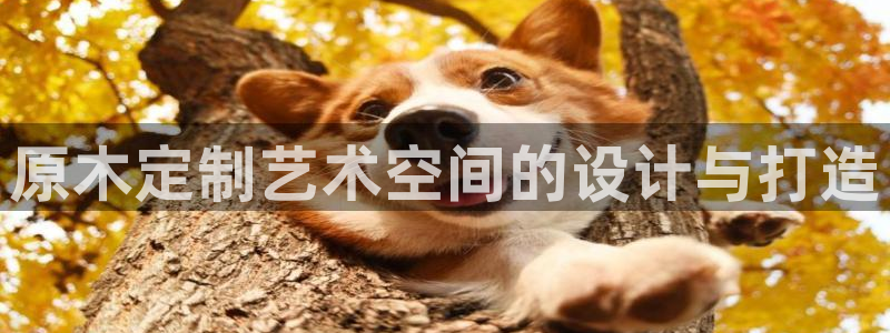 沐鸣平台黑款：原木定制艺术空间的设计与打造