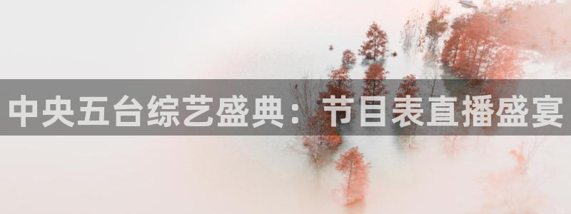 飞速体育直播无插件