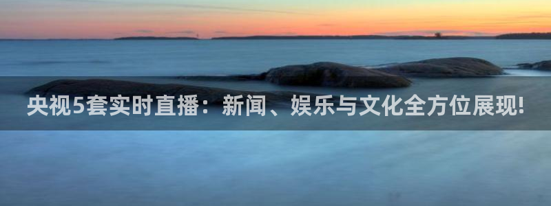 飞速 直播：央视5套实时直播：新闻、娱乐与文化全方位展现!