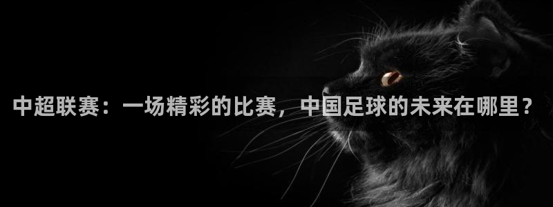 飞速直播nba无插件直播：中超联赛：一场精彩的比赛，中国足球的未来在哪里？
