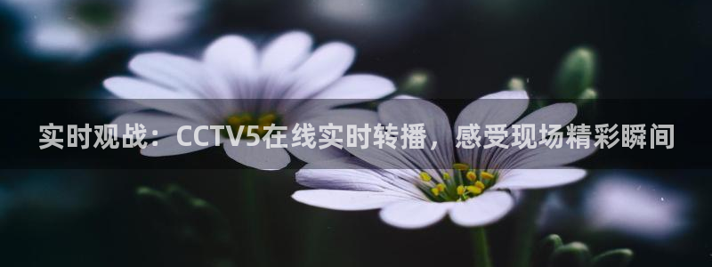 飞速直播体育cba：实时观战：CCTV5在线实时转播，感受现场精彩瞬间