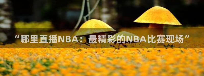 飞速直播nba免费直播在线观看：“哪里直播NBA：最精彩的NBA比赛现场”
