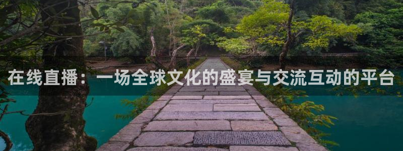 飞速足球直播：在线直播：一场全球文化的盛宴与交流互动的平台