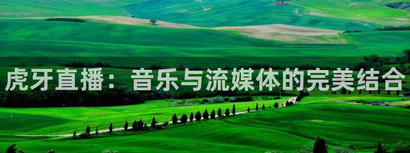 飞速体育：虎牙直播：音乐与流媒体的完美结合