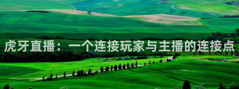 飞速直播nba直播吧：虎牙直播：一个连接玩家与主播的连接点