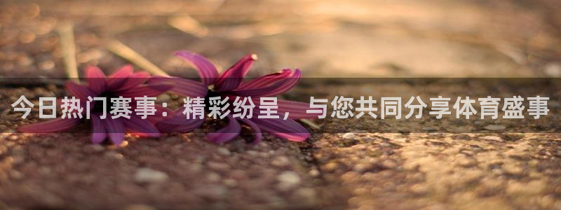 飞速直播吧jrs低调看直播nba：今日热门赛事：精彩纷呈，与您共同分享体育盛事